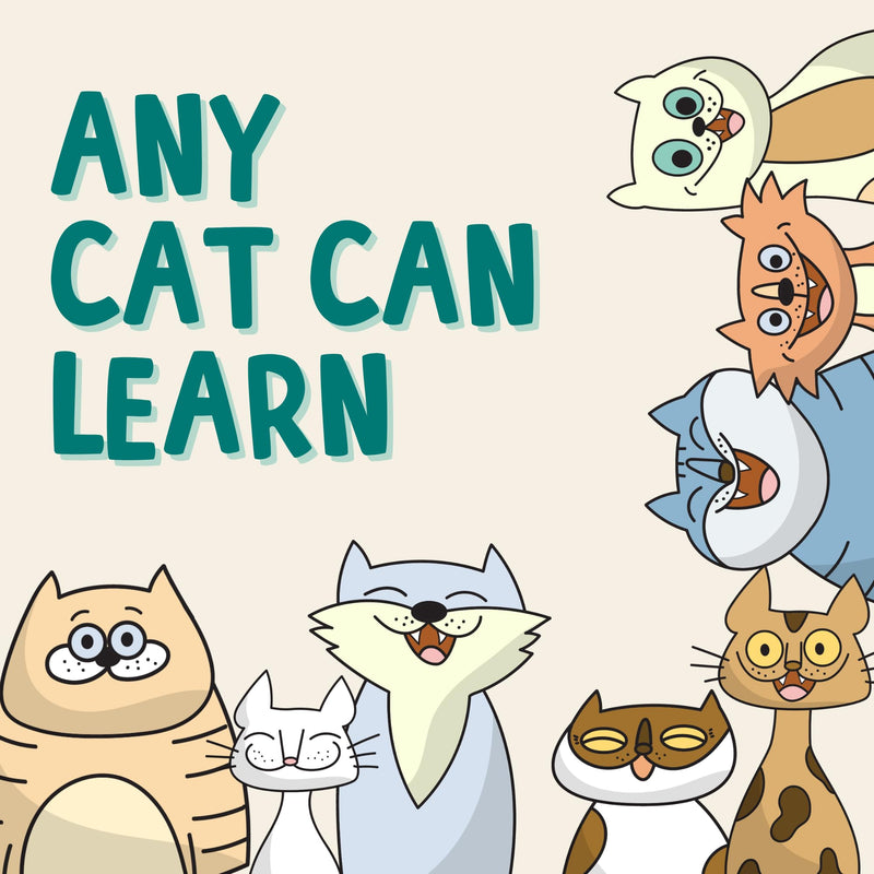 ALBERT & MIA Cat Training Kit (4 Pieces) - Quiet Clicker + Target Stick Clicker + Treats Pouch + Cat Clicker Training Start Guide (Beginner to Expert) Cat Training Set - BeesActive Australia