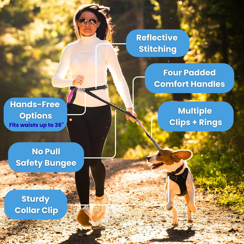 No Pull Dog Leash for Large Dogs – 6ft Highly Reflective Bungee, Heavy Duty Leash for Large Dogs, 4 Padded Handles, Strong Carabiner Clip & Rings, Includes Poop Bag Holder & Treat Pouch (Purple) Purple