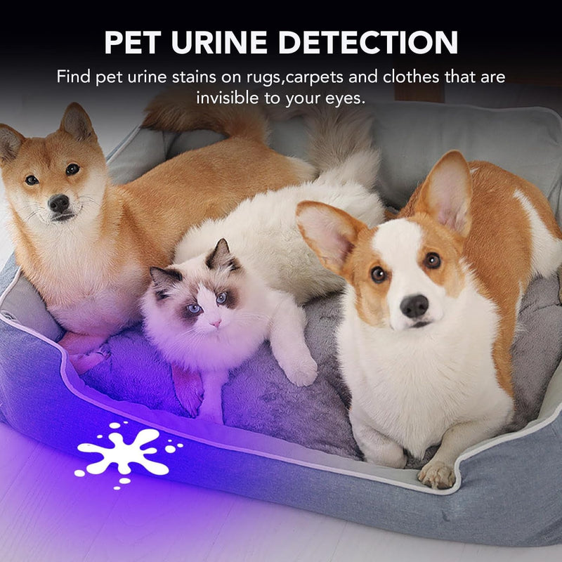 UV Flashlight Black Light 2400 mAh Rechargeable Battery,100 LED 395 nM Ultraviolet Blacklight Pet Urine Detector for Dry Dog/Cat Urine Stains Detection, Bed Bug, Scorpions Finder UV Black Light - BeesActive Australia