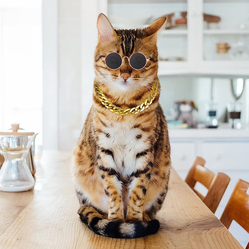 Molain Cat Sunglasses Gold Chain Costume Decorations UV Protection Classic Retro Puppy Retro Sunglasses Faux Photo Props 1 Black Sunglasses+1 Gold Chain - BeesActive Australia