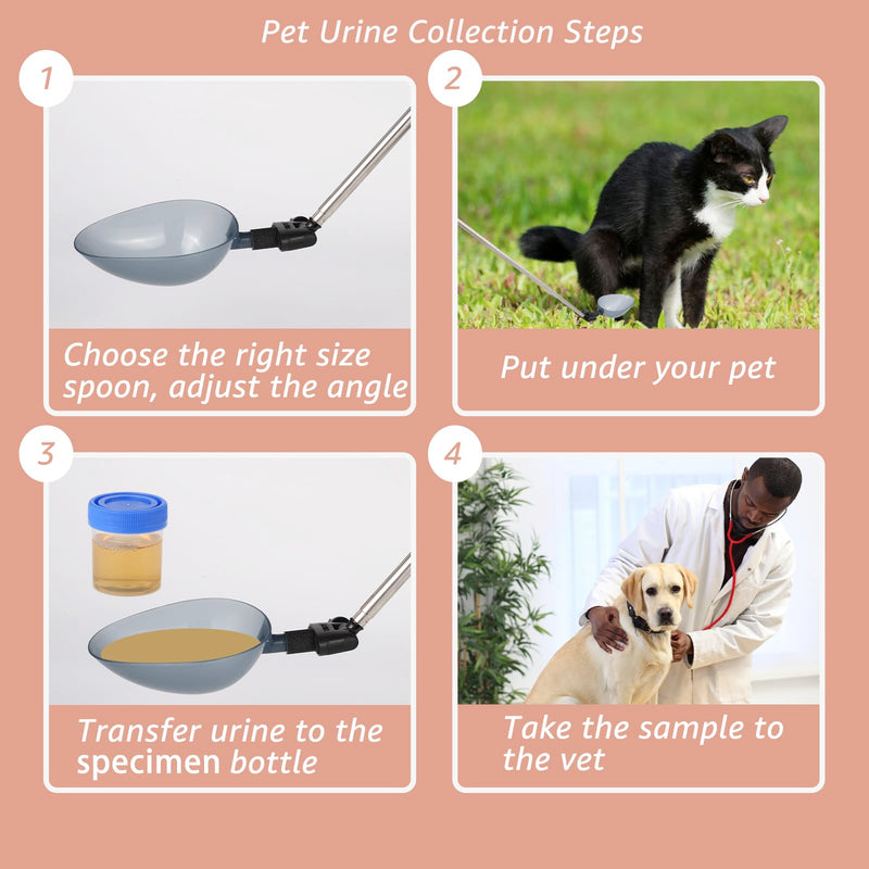 Dog Cat Urine Collector - Telescopic Urine Sample Catcher for UTI Test Kit,Dog Pee Stick for Veterinary Supplies.Dog Pregnancy Pee Test Kit(Basic Kit) basic kit - BeesActive Australia