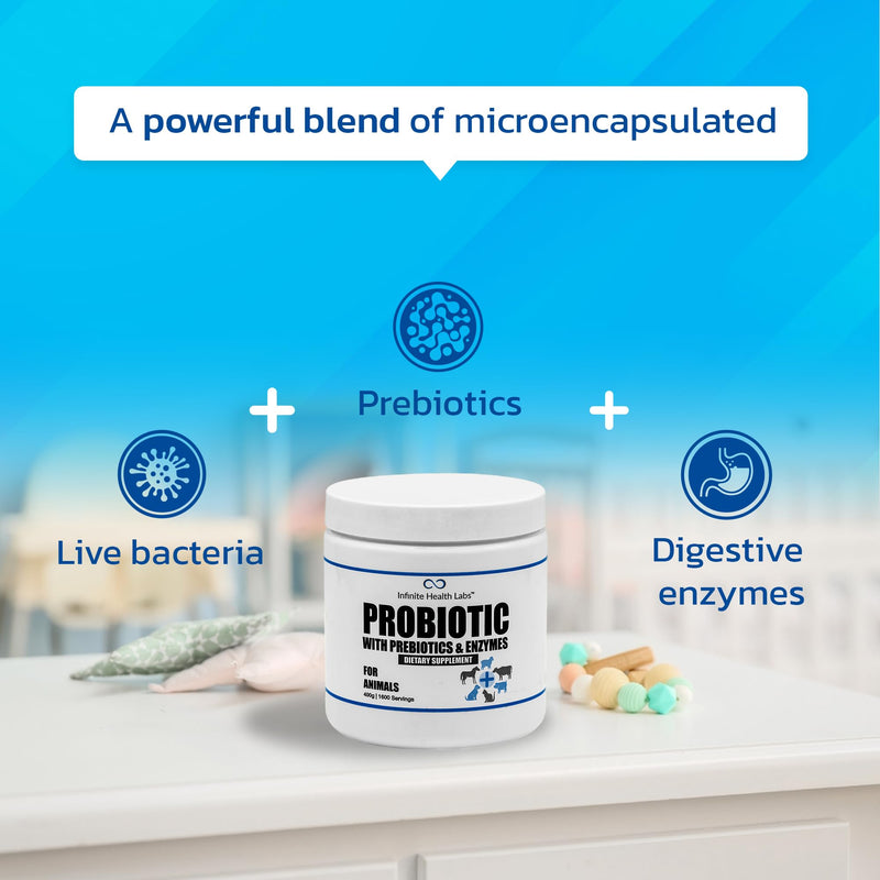 Probiotics for Dogs and Cats - Vet Formulated Pet Prebiotic & Enzyme Powder for Digestive, Gut & Immune Health - 1600 Servings (400 g) 400 g - PawsPlanet Australia