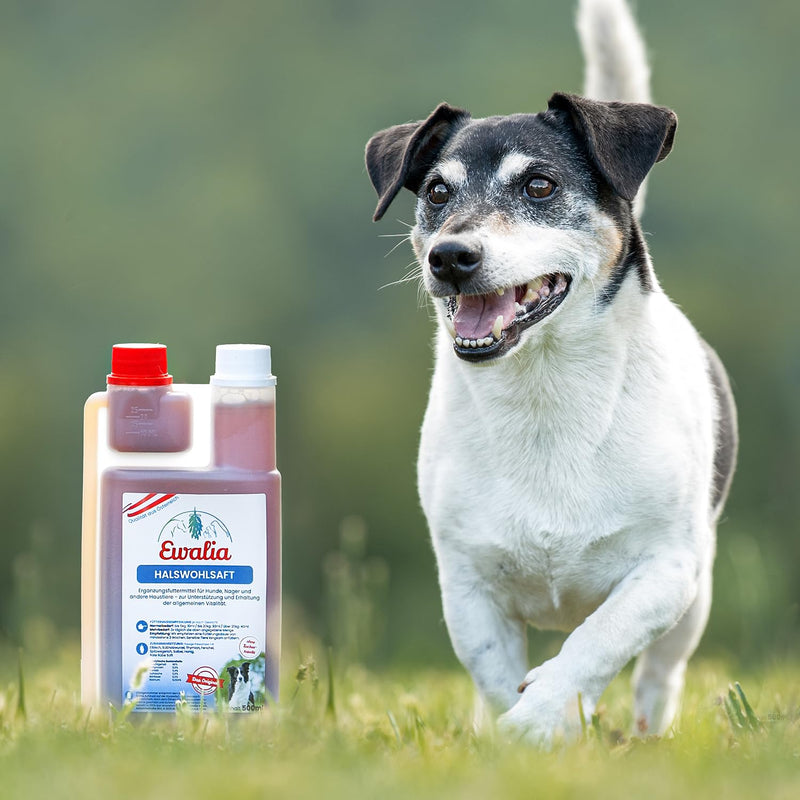 NEW! EWALIA Throat Juice for Dogs: Natural Respiratory Treatment - Soothing and Soothing - Developed with Veterinarians, 100% Pure Nature, No Additives - 500ml 1 - BeesActive Australia