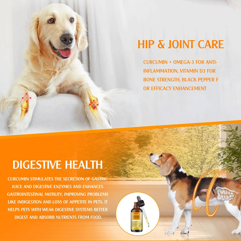Turmeric Joint care for dogs and senior dogs, Anti-inflammatory, Arthritis Relief, Hip and Joint Pain Relief, Mobility, Flexibility Support, better absorption with 4 in 1 natural formula