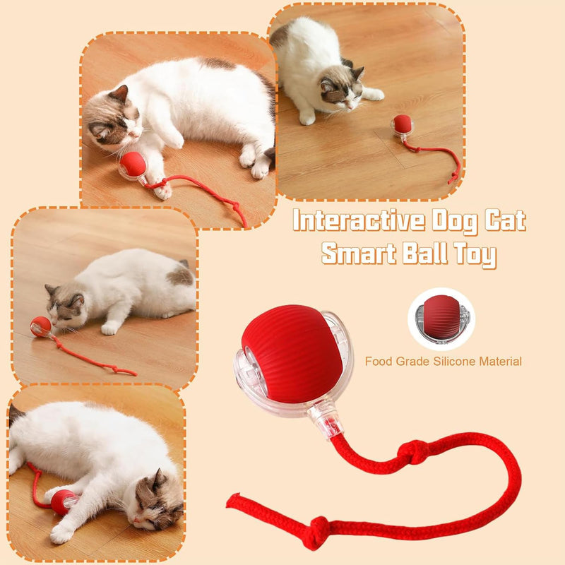 Interactive Rolling Dog Ball,Electric Dog Ball Toy,2024 New Interactive Rolling Ball Dog Toy,Viral Rolling Ball for Dog/Cat,360° Smart Automatic Rolling Ball Toy Rechargeable（Red+Red） Red+Red - BeesActive Australia