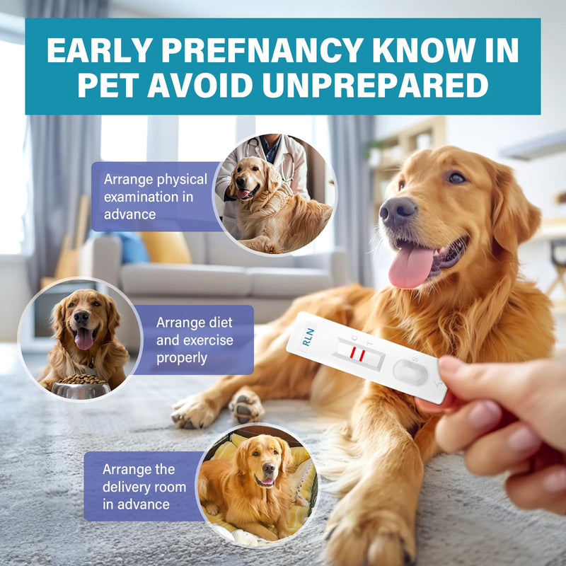 Dog Pregnancy Test Kit at Home - Accurate and Fast Dog Pregnancy Test, Convenient & Disposable Pregnancy Tests Strip (1PCS) 1 Count (Pack of 1)