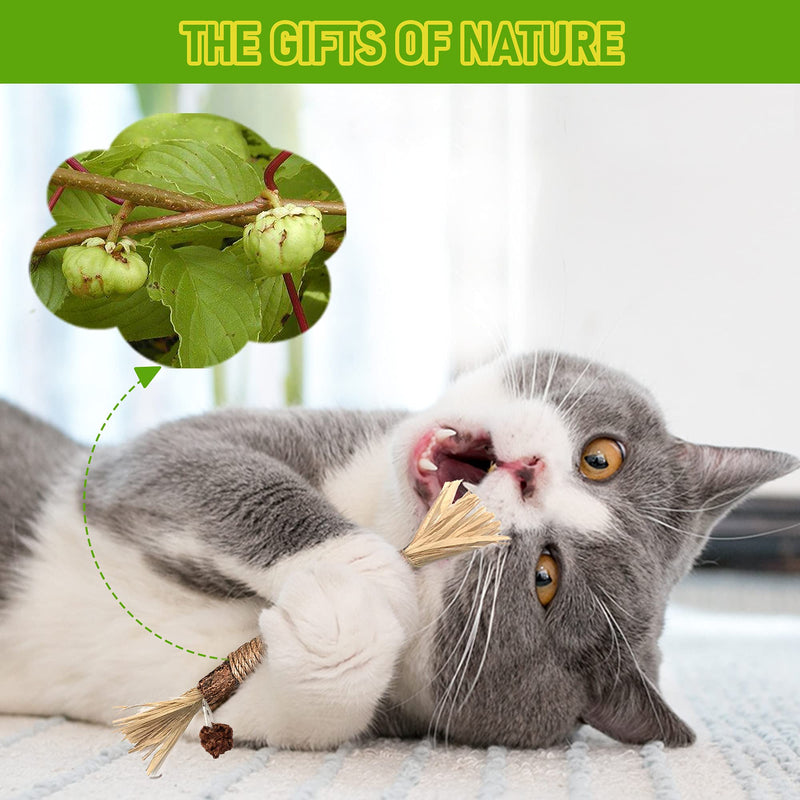 BAWAN Catnip Toys‖ Silvervine for Cats: Cute Cat & Kitten Toys for Indoor Cats Interactive‖ Cat & Kitten Teething Chew Toys for Aggressive Chewers‖ Silvervine Sticks Cat Dental Toy (3PCS) 3PCS - BeesActive Australia