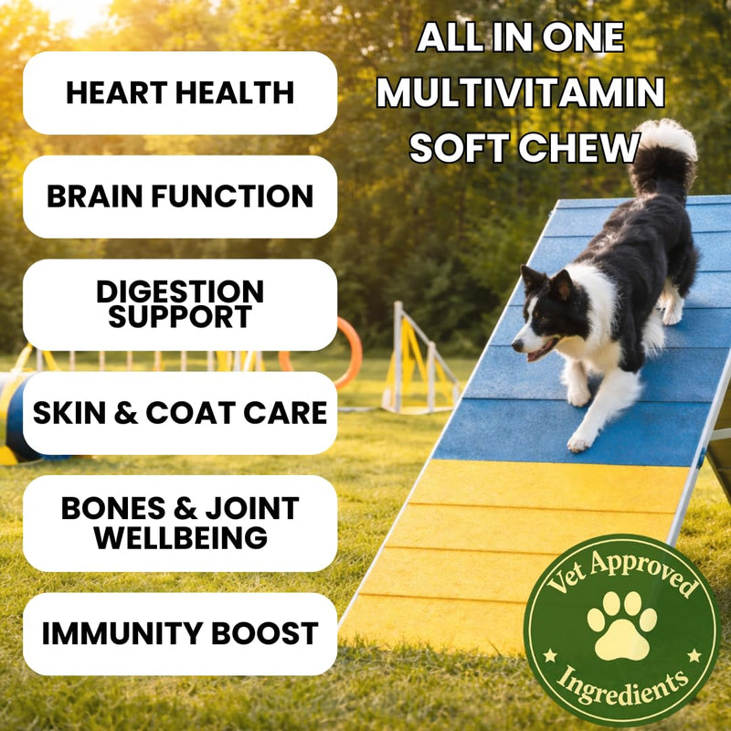 Premium Dog Multivitamin Soft Chews – Complete All-in-One Supplement for Joint, Skin, Coat, Digestion, Heart, Brain & Immune Health - Natural Ingredients - Full Wellbeing Support