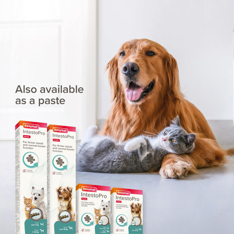 Beaphar – IntestoPro Prebiotic Stool Firming Tablets for Cats and Small Dogs (<20kg) – Natural Active Ingredients – Aids digestive upsets and diarrhoea - Supports Healthy Gut Function – 20 Tablets 20 Tabs Small Dog Tablets
