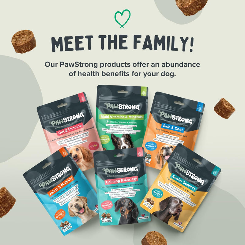 Multi-Vitamins & Minerals Soft Chew Dog Supplements – 21 Essential Nutrients for Daily Health, Energy, Joints, Skin & Coat with Omega 3 EPA & DHA – 60 Soft Chews 60 Chews