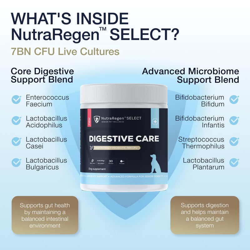 Nutraregen Select Dog Digestive Probiotic Powder and Dental Support Bundle | Pet Dental Powder & Dog Breath Freshener, 7 Bn CFU | 60 Scoops, 6.7 oz