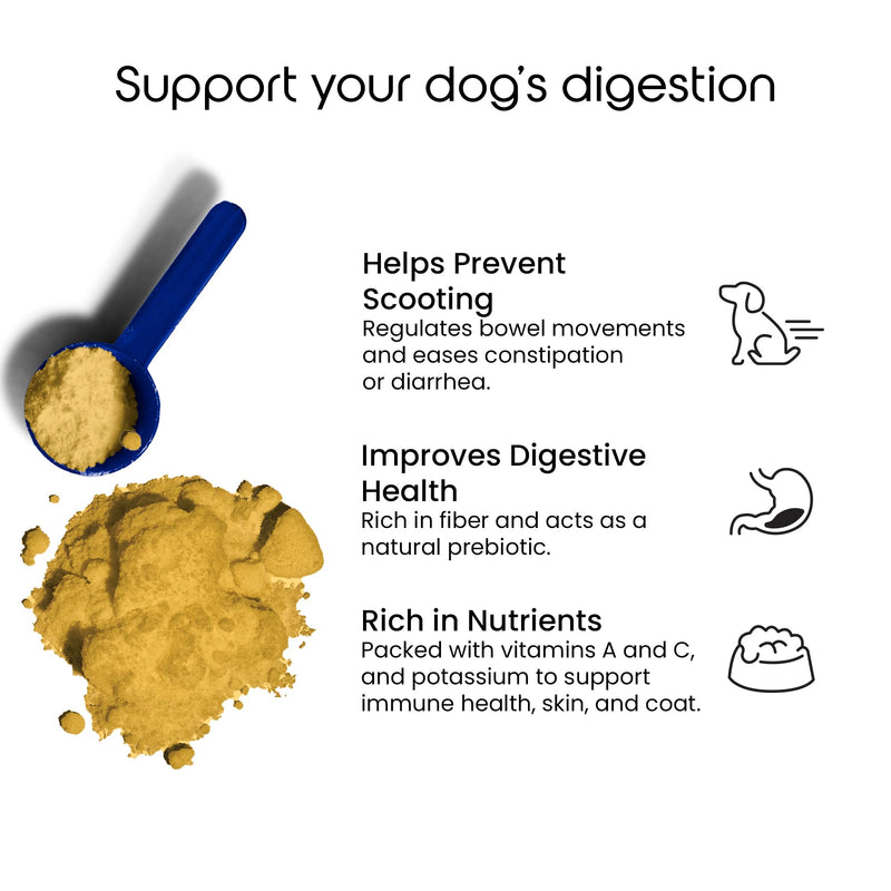 puptons Pumpkin Powder for Dogs | 100% Pumpkin Purée Powder | Rich in Prebiotics & High Fibre Dogs Gut Health & Healthy Stools | Natural Food Topper, Made in UK (250g) 250g