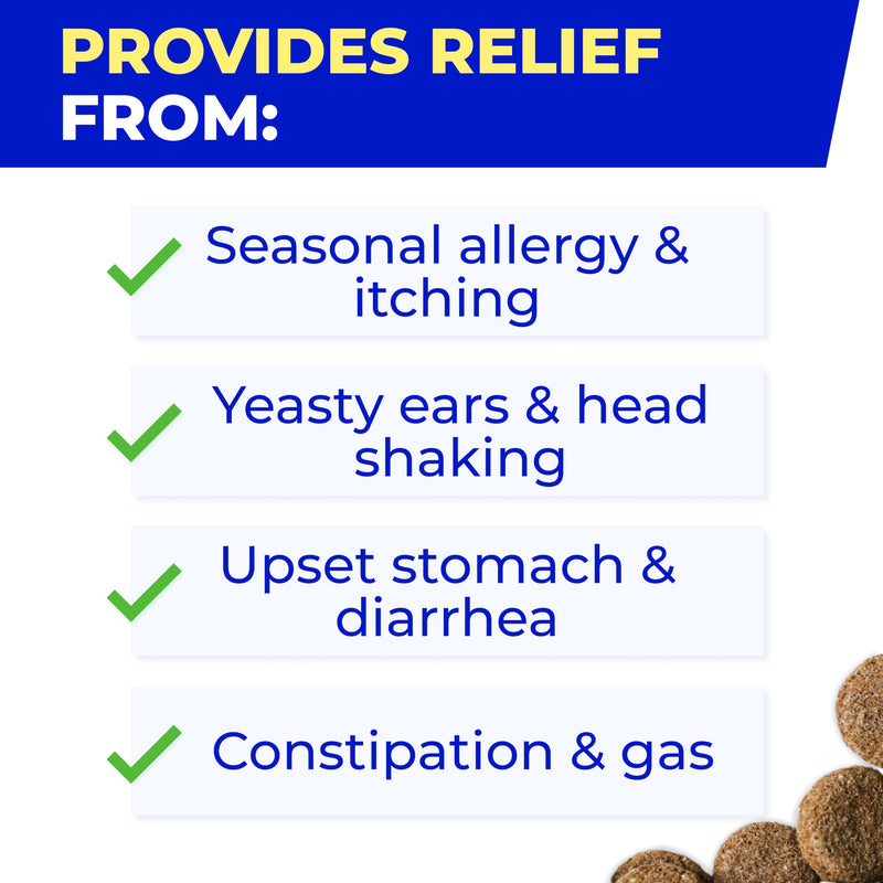 Vet Approved Probiotics & Digestive Enzymes for Dogs | Gut Health & Digestive Function Support | Pumpkin & Omega | Diarrhea, Seasonal Allergies & Itching | Prebiotic Supplement Chews Probiotics & Enzymes 120 Digestive Chews - BeesActive Australia