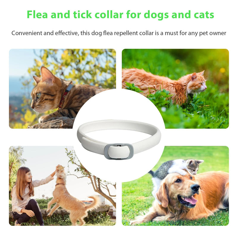 Pets4Luv Flea and Tick Collar for Dogs, Flea Collar for Dogs, 24 Months Protection, One Size for All Dogs, Adjustable and Waterproof, Pack of 3 - BeesActive Australia