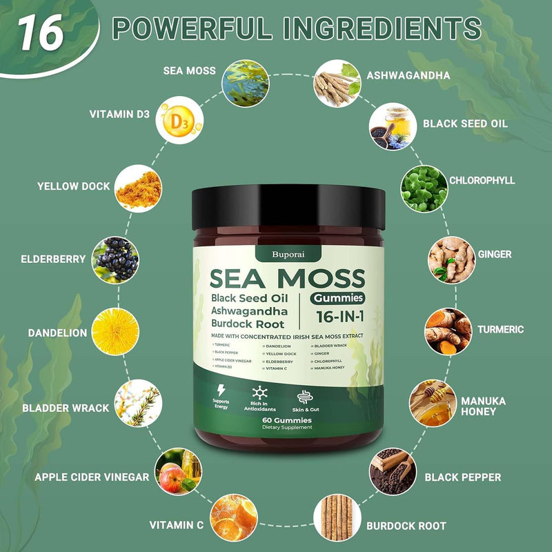 Sea Moss Gummies 16-1, Black Seed Oil Ashwagandha Turmeric Bladder Wrack Vitamin C Vitamin D3 Elderberry Manuka Dandelion Yellow Dock Apple Cider Vinegar for Men & Women Pack of 1
