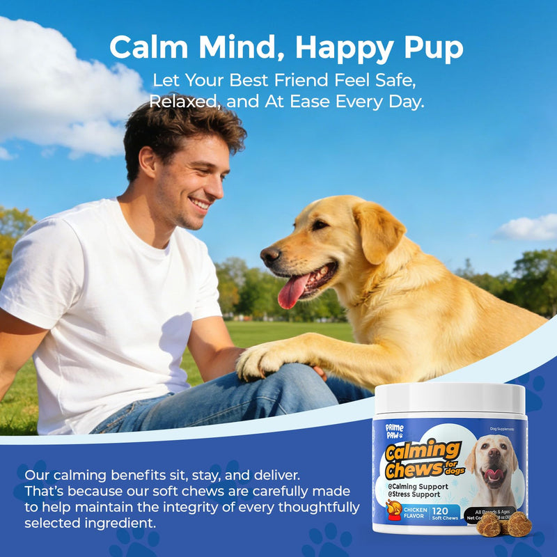 Calming Chews for Dogs L-Theanine L-Tryptophan Phosphatidylserine Valerian Chamomile Passion Flower Non-Sedating Relaxation Support All Breeds Puppy Adult Senior Chicken Flavor 120 Soft Chews