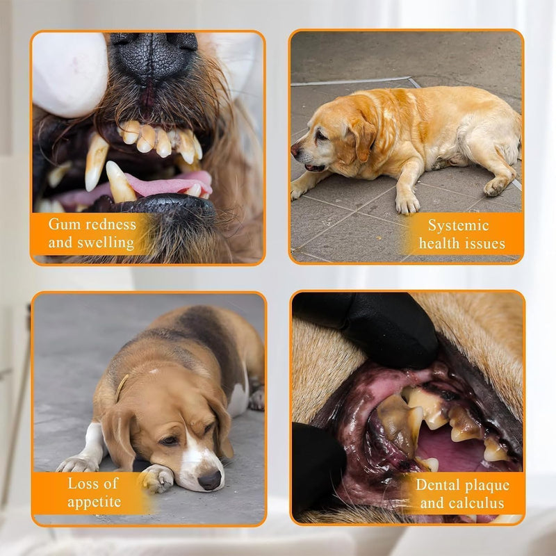 Dog Teeth Cleaning Dog Plaque Remover Dog Tartar Remover Plaque Remover For Teeth Dogs Dog Teeth Cleaning Products