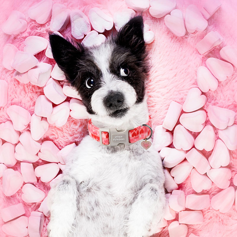 Unique style paws Valentine's Day Dog Collar Plastic Buckle Collar with Pendant Painting Love Heart Gift Wedding Small Medium Large Boys Girls Dogs L - BeesActive Australia