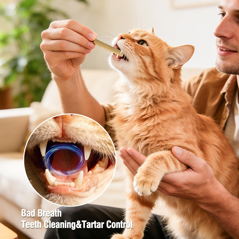 1.74oz Freezed Dried Cat Teething Sticks, Salmon Cat Chew Stick for Dental Care, Chicken Cats Treats, Feline Teeth Cleaning Snacks Animal Print