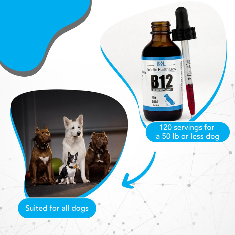 Liquid Vitamin B-12 for Dogs - Methylcobalamin Liquid Supplement for Pets - Dog Vitamins for Medium & Large Breed - Pet Vitamins and Supplements - Dog Multivitamins Liquid - PawsPlanet Australia