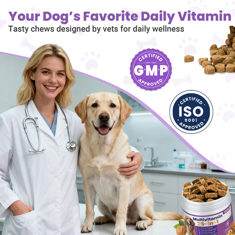 Dog Multivitamin 25 in 1 Dogs Vitamins Supplements Treats Chewable for Pet Omega-3 Glucosamine Vitamin for Puppy Supplies Skin Coat, Heart, Hips & Joints, Digestion & Immune System 100pcs