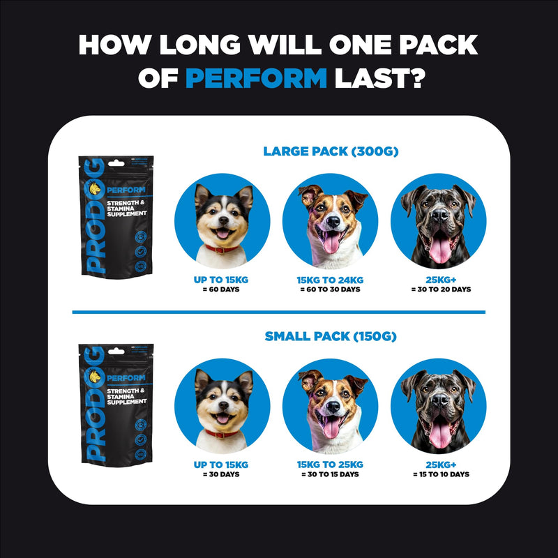 ProDog Perform Food Topper Powder for Working & Sporting Dogs | 58% Tri-Protein + Fish Collagen | Omega 3, 6, 9 & Ginseng for Strength, Stamina & Focus | 60 Servings 300 grams