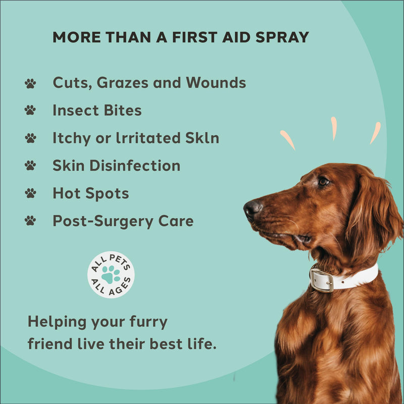 Antiseptic Wound & Skin Care Spray (100ml) | Award-Winning | Stops Itching, Fights Infection, Heals Fast | Safe, Non-Stinging, Natural | Veterinary Strength for Dogs, Cats & Pets