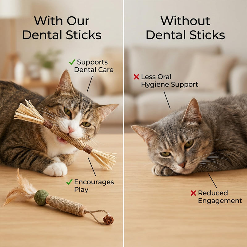 XZSKD 6pcs Silvervine Chew Sticks for Cats, Cat Dental Treats with Natural Silver Vine, Dental Care Solution for Indoor Cats, Six Chew Sticks for Teething Kittens and Adult Cats