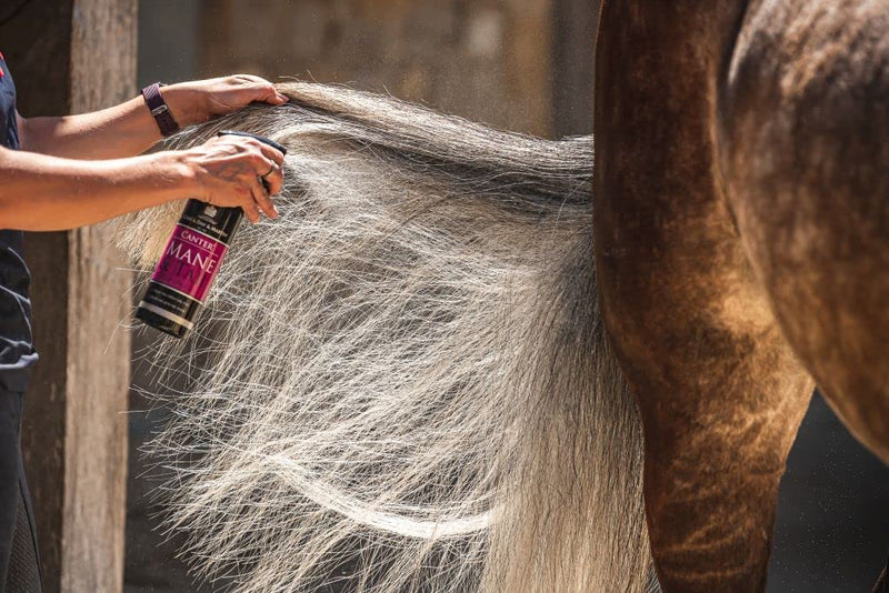 JPC Carr & Day & Martin Canter Mane and Tail Conditioner One Size - BeesActive Australia