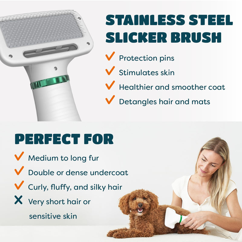 2-in-1 Dog Hair Dryer with Slicker Brush for Small-Sized Dogs and Cats | Pet Hair Dryer | Dog Blow Dryer | 300 Watts, 75-85 dB, Adjustable Temperature, Overheat Protection - BeesActive Australia