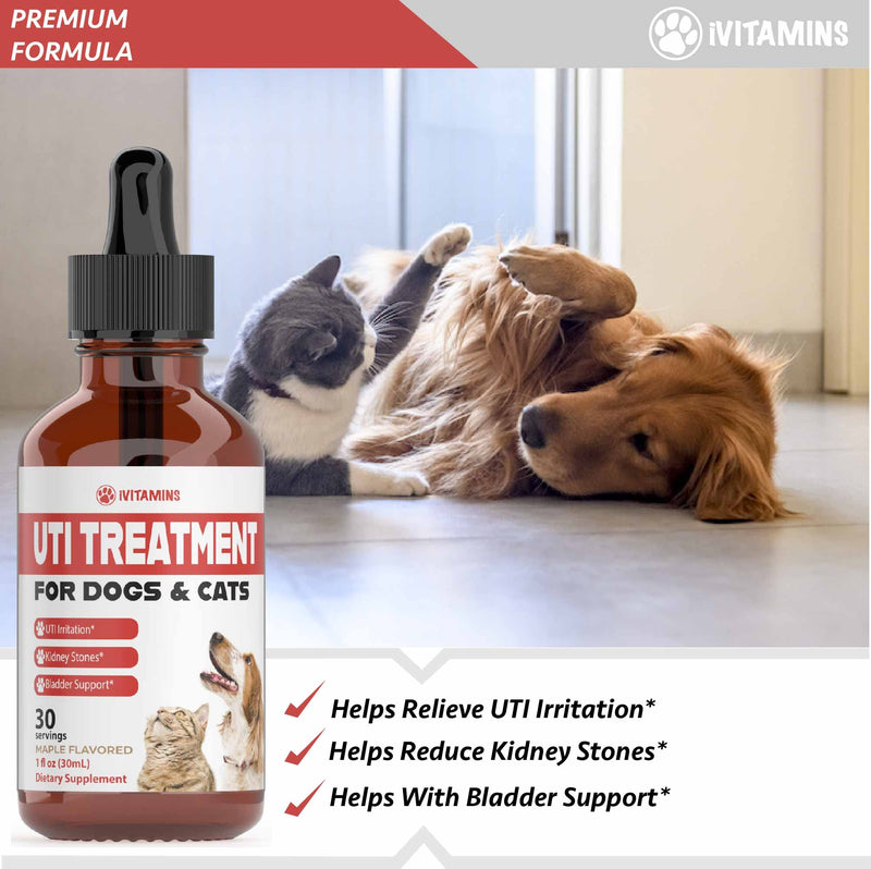 Dog UTI Treatment | Cat UTI Medicine | Cat UTI Remedy | Cranberry Supplement for Dogs | Pumpkin for Cats | Dog UTI | Cat UTI | Cranberry for Dogs | Cat Urinary Tract Infection Treatment | 1 fl oz - PawsPlanet Australia