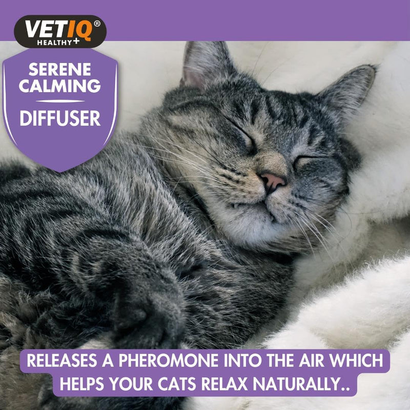 VETIQ Serene Calming Refill For Use With Portable Diffuser For Cats & Kittens, Help Calm, Relax, and Ease Separation Anxiety, Anxiousness or Hyperactivity, 6 ml Refill (Pack of 1) Diffuser Refill Only