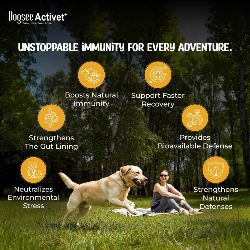 Dogsee Activet+ Freeze Dried Dog Food Topper with Yak Cheese Powder, Dog Supplement for Multi Vitamin, Boosting Immunity, Supports Growth, Improve Overall Health & Digestion (30 Sachets) Powder - 30 Sachets
