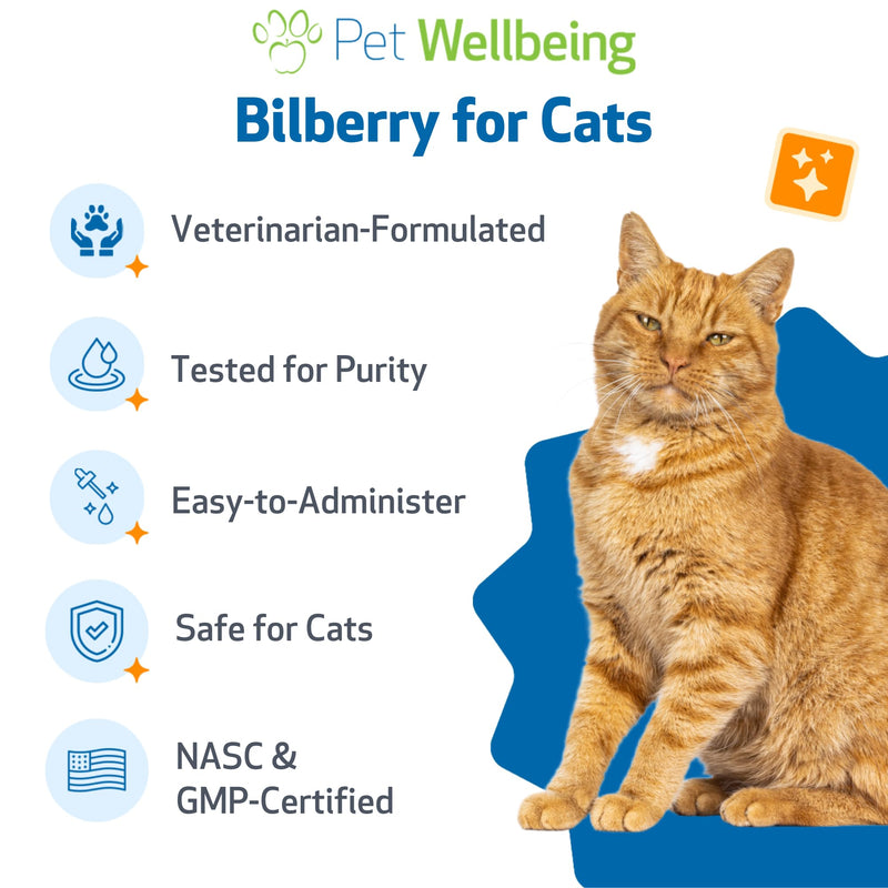 Pet Wellbeing Bilberry for Cats - Eye & Vision Support with Antioxidants, Capillary Health, Retinal Support - NASC Certified & Vet-Formulated - 2 oz Liquid