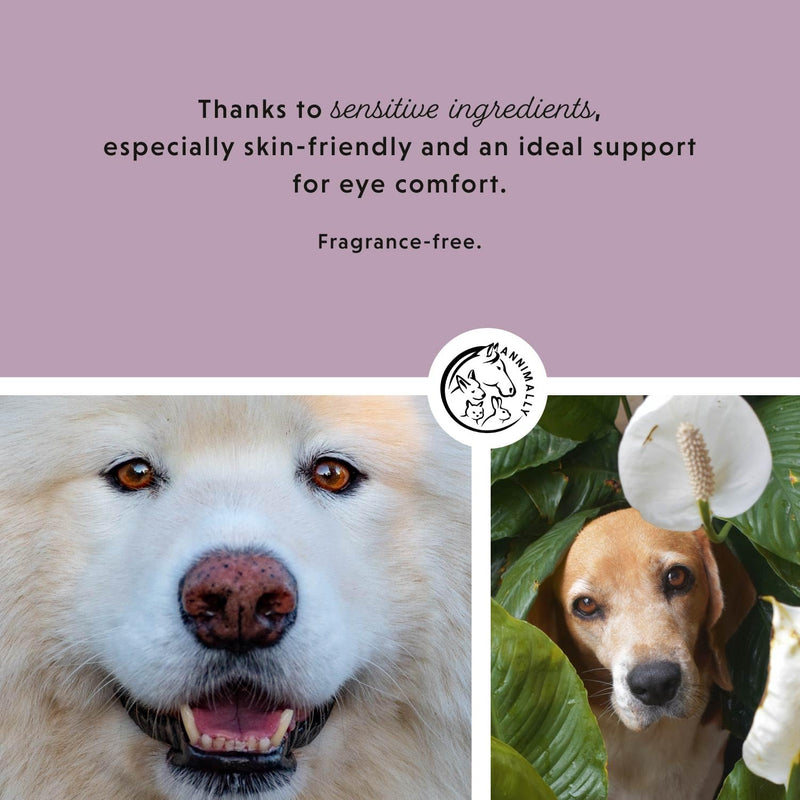 Annimally Eye Pads for Dogs 100 pcs. - With Chamomile & Aloe Vera, Perfume-Free for Cleaning the Eye Area and Removing Tear Stains, Dust & Dirt, Made in Germany