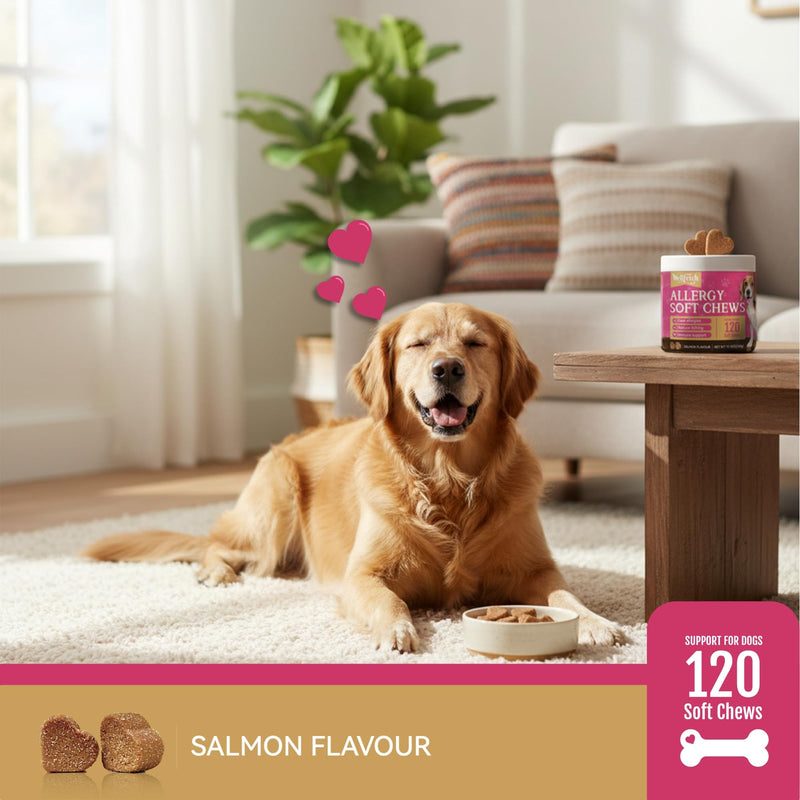 Dog Allergy and anti itch for dogs Soft Chews with Salmon oil, Colostrum & Turmeric for Itching, Skin Health, Anti Itch Natural Grain Free Treats, 120 Chews by wellfetch- Salmon Flavour 1