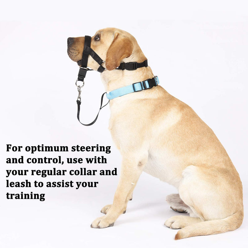 BARKLESS Head Collar with Safety Link, Soft Padded Halter to Prevent Dog Pulling on Leash, Gentle Anti-Pulling Training Solution for Walks, Adjustable No Pull Dog Nose Leash (L, Black) L - BeesActive Australia