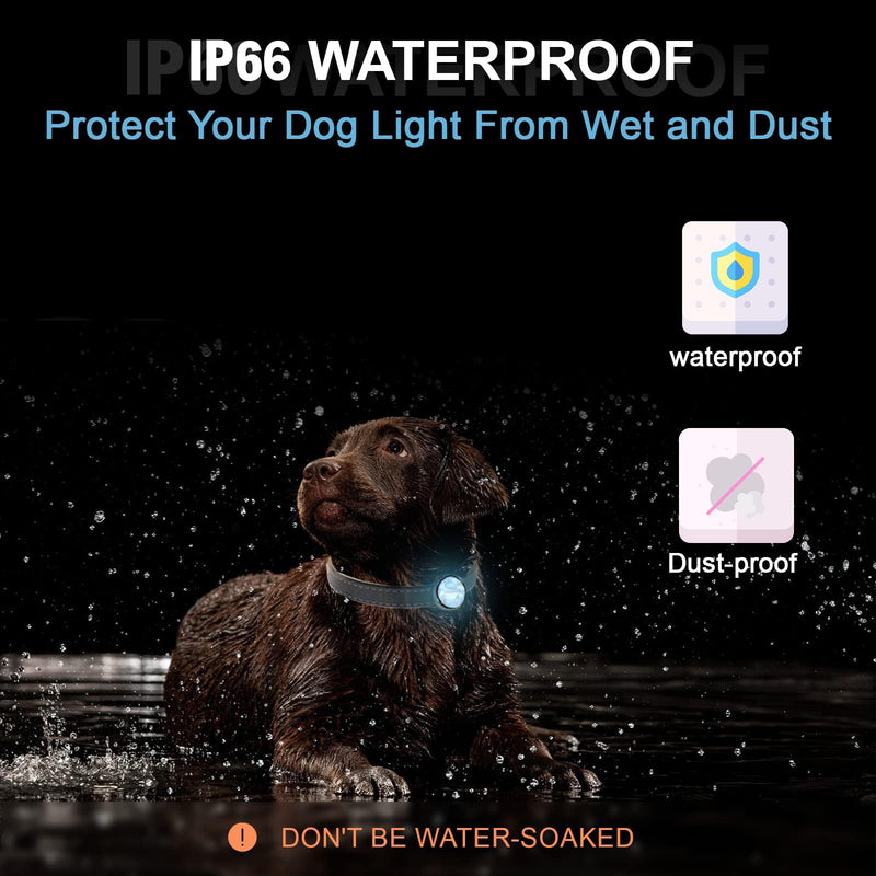 UMIONE PET Light: Waterproof dog light, durable and ideal for night walks (UMIONE-WHITE-01) White - BeesActive Australia
