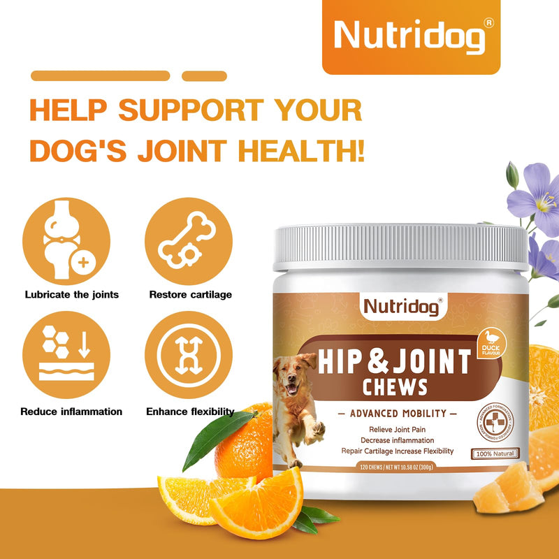 Dog Hip & Joint Chews 120 Count – Glucosamine, Chondroitin, MSM, Green-Lipped Mussel & Hyaluronic Acid for Mobility & Joint Support, Hemp Seed Oil, Duck Flavor, All Breeds