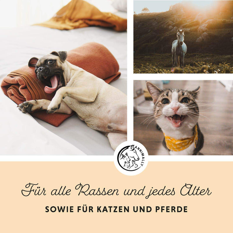 Annimally salmon oil for dogs 1 liter rich in Omega 3 & 6 fatty acids (more than 32%) - Barf fish oil suitable for dogs, cats and horses I Pure natural product cold-pressed from Germany - BeesActive Australia