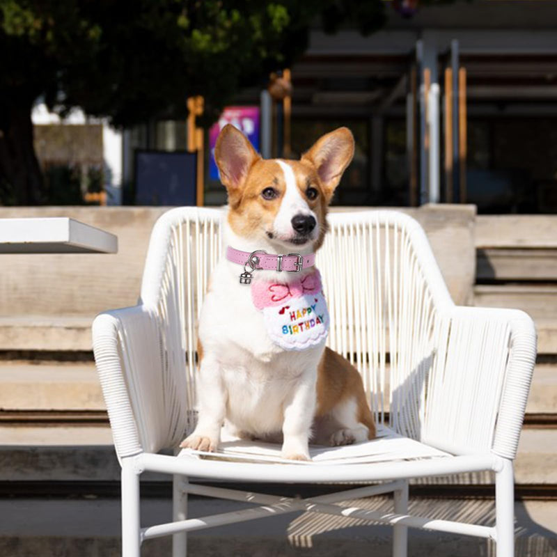 Dog Collars for Small Dogs Collars Chihuahua Puppy Collar Adjustable Pink Dog Collar with Bell Bling Kitten Collar for XXS Xs Small Medium Female Girl Dogs Pet Cat, 3/8 Inch Width - BeesActive Australia