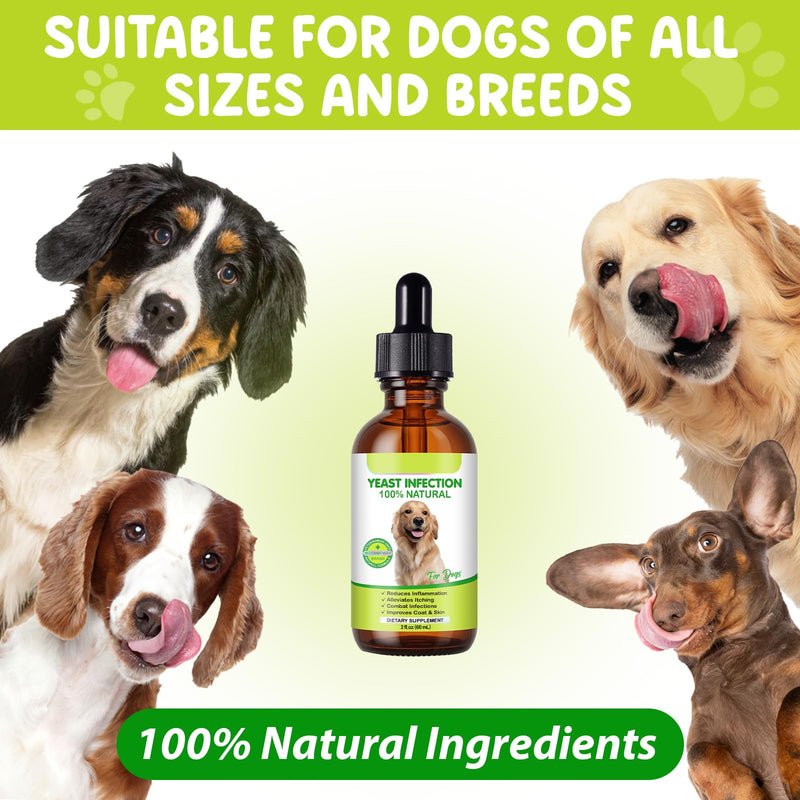 Yeast Infection for Dogs, Natural Yeast Infection Treatment for Dogs Supports Dog Itchy Skin & Allergy Relief, Pet Supplies Herbal Supplement for Dog Ear Care - 60 ml