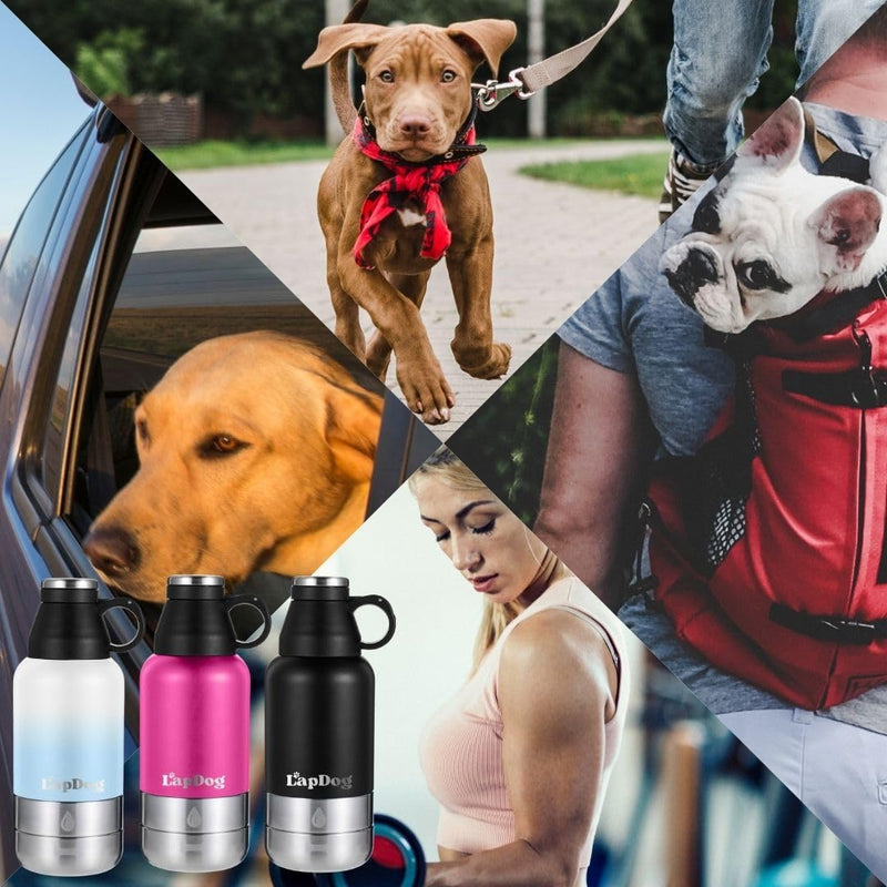 Lapdog Portable Dog Water Bottle & Food Bowls, All-in-One Accessories for Walking, Hiking, Beach- Double Walled, Insulated, Stainless Steel Water Dispenser (White/Powder Blue, without Neoprene Bag) White/Powder Blue - BeesActive Australia