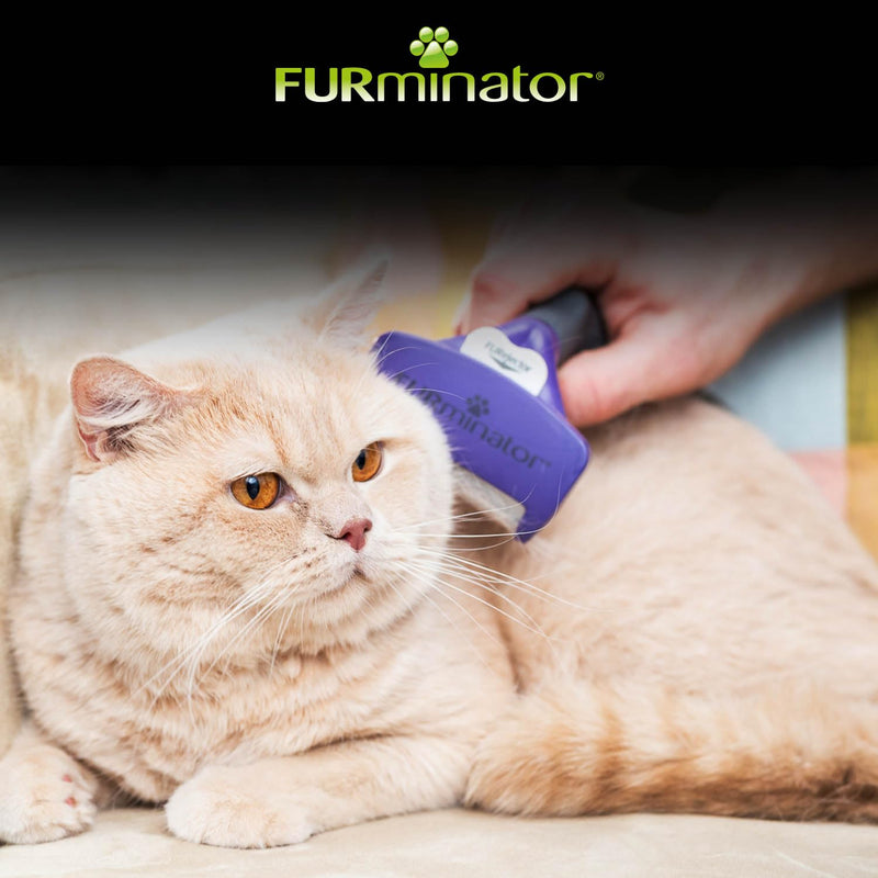 FURminator deShedding tool cat size M/L short hair - cat brush for medium to large cats to remove the undercoat - improved design version 2.0 - BeesActive Australia
