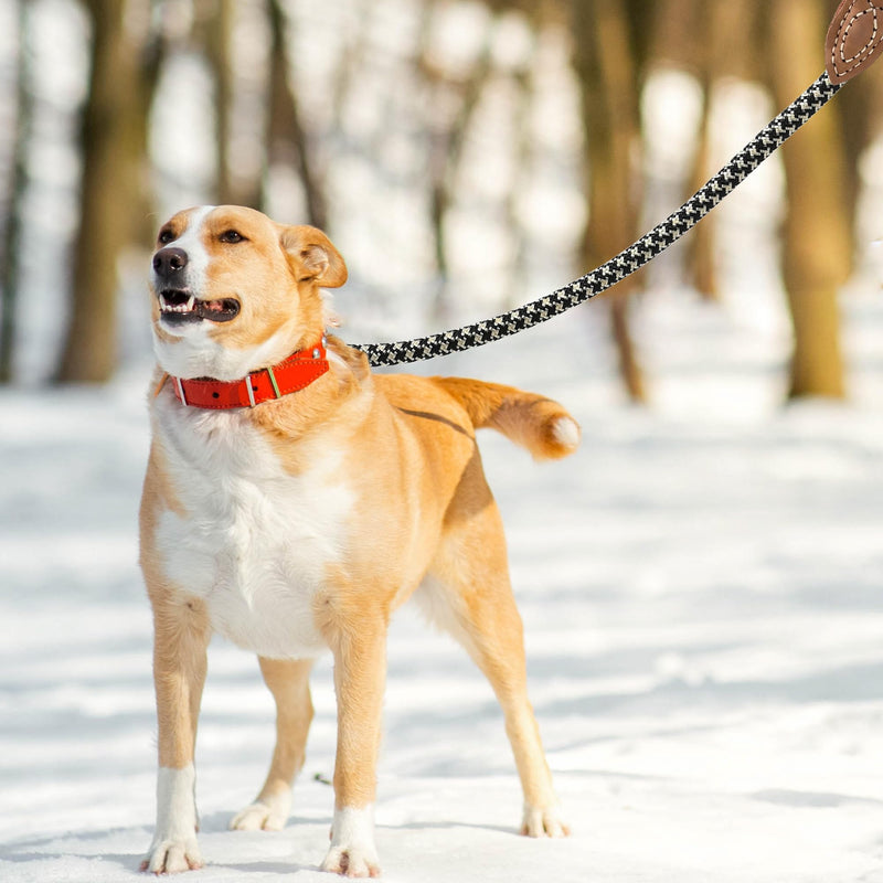 Mile High Life | Mountain Climbing Dog Rope Leash with Heavy Duty Metal Sturdy Clasp | Genuine Leather Tailored Connection with Strong Stitches (Black Khaki, 72 Inch (Pack of 1)) 72 Inch-1/2" Black Khaki - BeesActive Australia