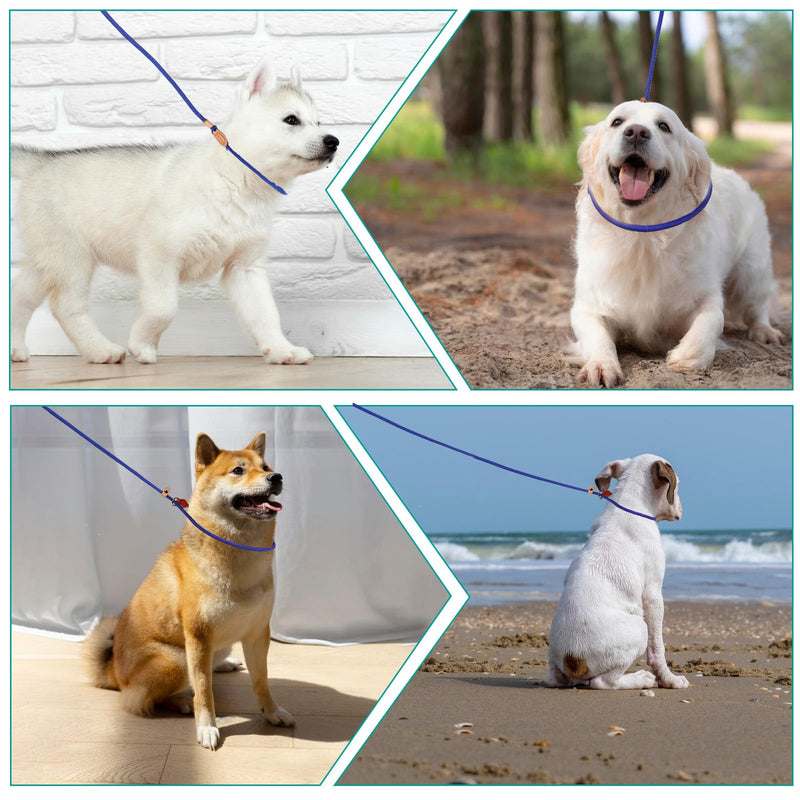 5 Ft Slip Leads Puppy Dog Leash for Small Dogs, Slip Leash for Puppy Training, No Pull Control Leash for Small Dogs Pet Leash Rope for Small Medium Large Dogs, No Pull Dog Training Leads - BeesActive Australia