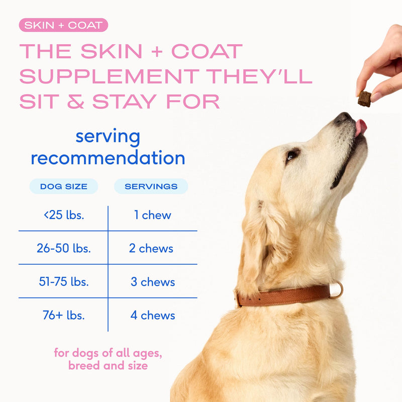 Native Pet Skin & Coat Chews - Omega 3 Fish Oil for Dogs Skin & Coat Supplement - Itch Relief, Shiny Fur & Shedding Support - Collagen, Hyaluronic Acid, Biotin, Probiotics & Salmon Oil - 30 Chews