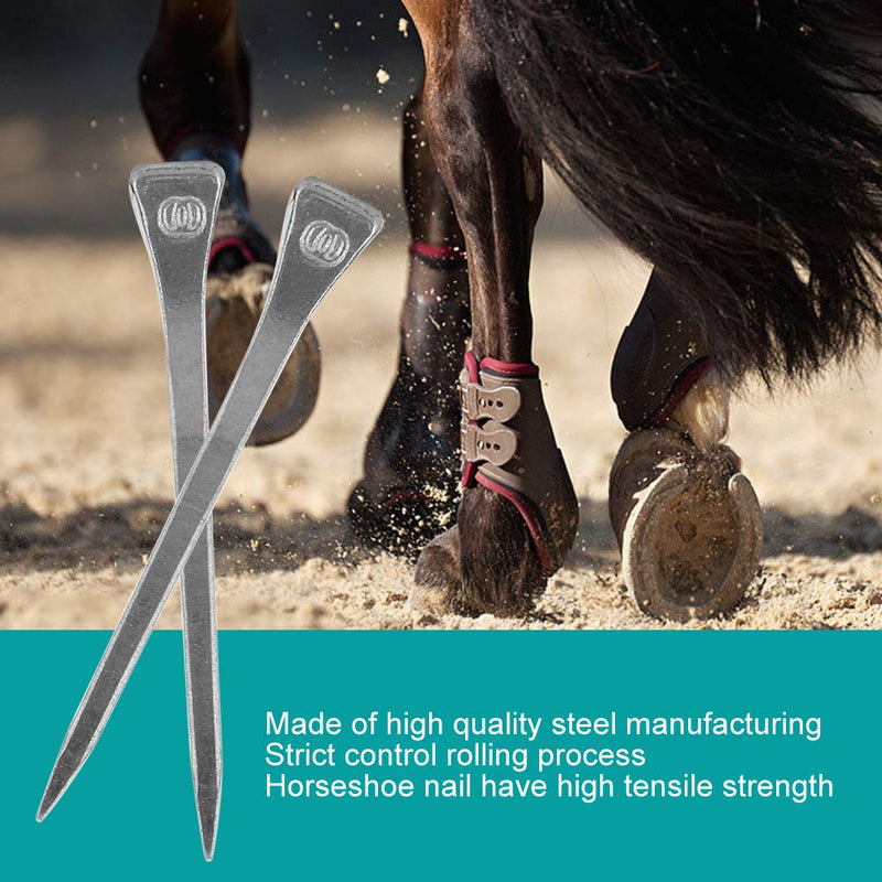 Ejoyous Horseshoe Nail, 250Pcs 2 Inch E6 Steel Horse Shoe Nails Hoof Peg Securing Tool for Horse Race Training Equestrian Sports - BeesActive Australia