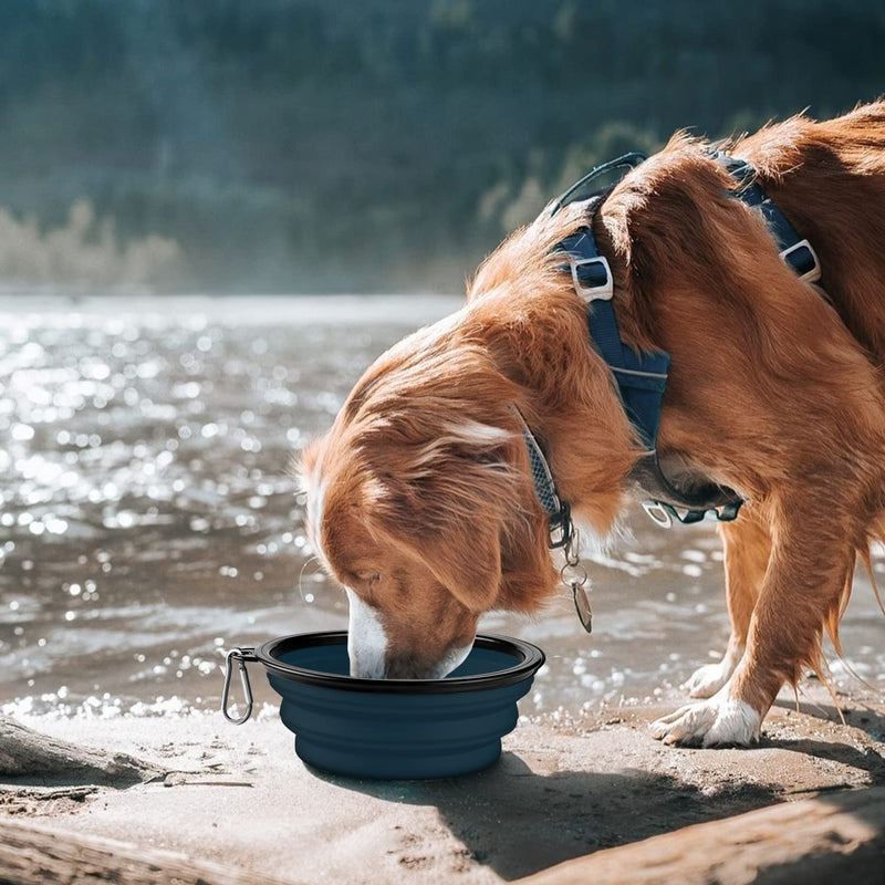 COOYOO Collapsible Dog Bowl,2 Pack Collapsible Dog Water Bowls for Cats Dogs,Portable Pet Feeding Watering Dish for Walking Parking Traveling with 2 Carabiners Small 03#Blue Haze+Dark Blue - BeesActive Australia