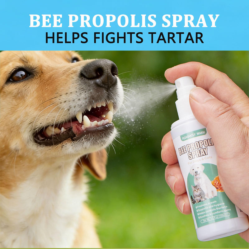 Bee Propolis for Dogs & Cats Oral Spray – Natural Active Formula for Gingivitis, Reduce Gum Inflammation & Pain, Combat Bad Breath & Gum Disease, Pet Oral Care, 100ml